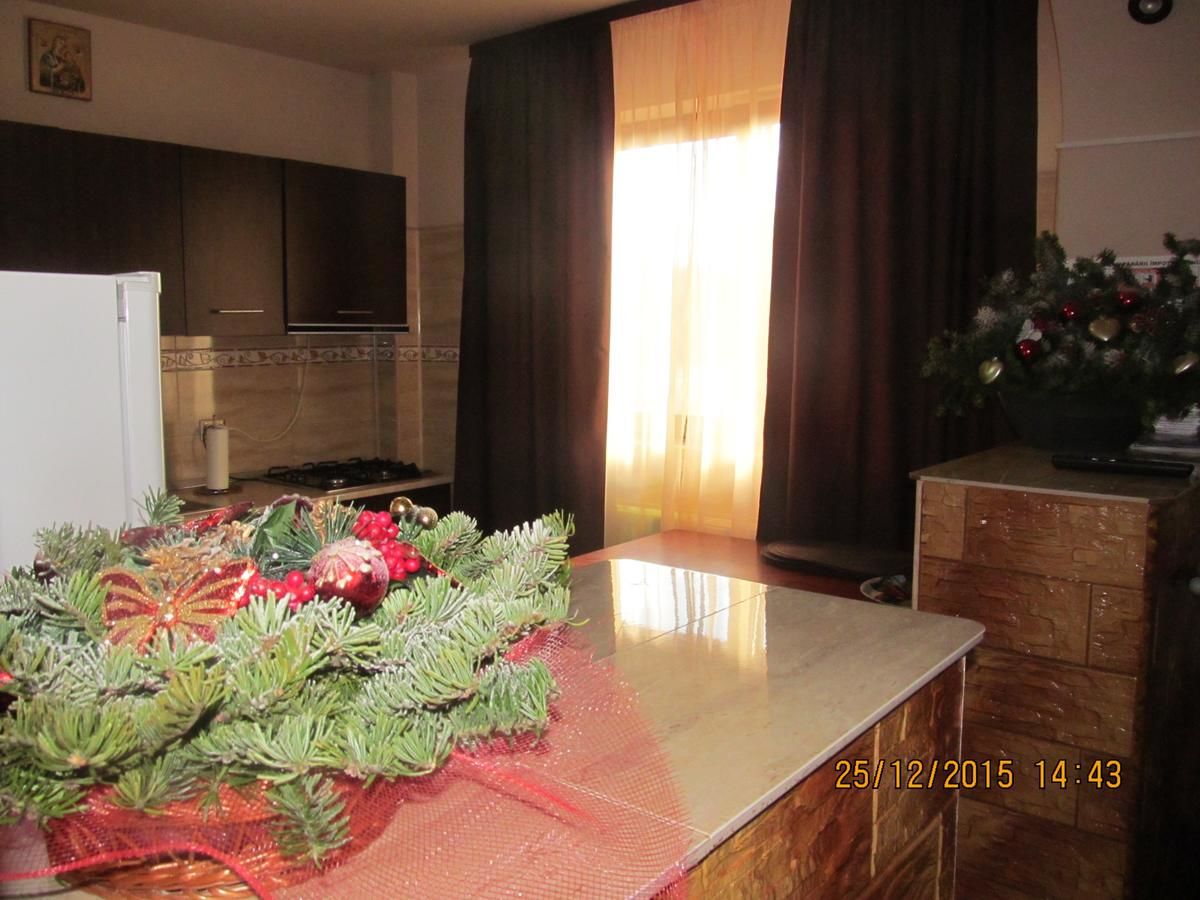 Гостевой дом Casa Rosca Busteni Буштени-33